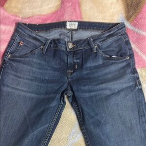Hudson Jeans Blue Skinny Denim